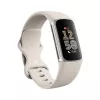 Fitbit GA05185-EU produkt sølv
