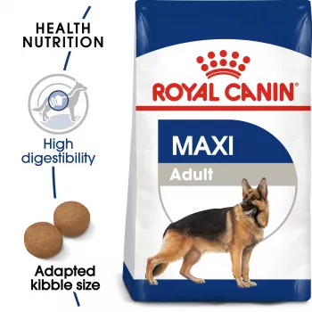 Royal Canin SHN Maxi Adult tørfoder til hunde, 4 kg