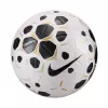 Nike Control 25 størrelse 5 fodbold hvid/sort HV4395 100