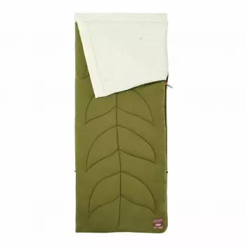 Coleman Maranta L Sovepose