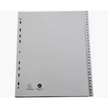 Exacompta 2931E A4 Maxi ordnerregister 1–31, grå