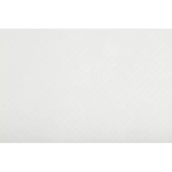 PROnappe 500 Placemats Tiss Lack White 30.0 x 40.0 cm