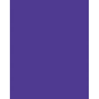 Folia 614/50 32 - violet - ensfarvet - A4 (210 x 297 mm) - 300 g/m² - 50 ark - Tyskland
