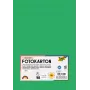 Folia 614/50 54 - grøn - ensfarvet - A4 (210 x 297 mm) - 300 g/m² - 50 blade - Tyskland