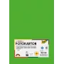 Folia 614/50 55 - grøn - ensfarvet - A4 (210 x 297 mm) - 300 g/m² - 50 ark - Tyskland