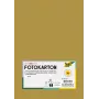 Folia 614/50 65 - guld - ensfarvet - A4 (210 x 297 mm) - 300 g/m² - mat - 50 ark