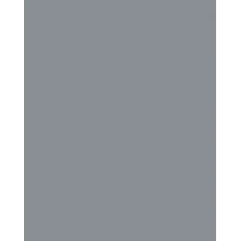 Folia 614/50 84 - grå - ensfarvet - A4 (210 x 297 mm) - 300 g/m² - 50 ark - Tyskland