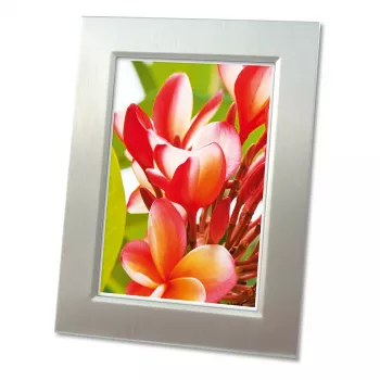 Avery Zweckform 2556-20 Premium Glossy Photo Paper, A4, 250 g/m2, 20 Sheets