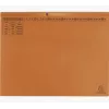 Exacompta 370409B konventionel dokumentmappe - karton - orange - 320 g/m² - 265 mm - 316 mm