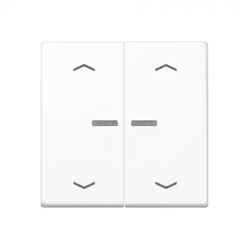 JUNG Home trykkontakt 2-fag Bluetooth AS 17102 P WW
