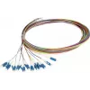 Synergy 21 S215475V2 fiberoptisk pigtail 2 m LC/UPC OS2 12-pak farvet