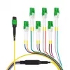 EFB Elektronik MTPF12LCAPC-10 - 10 m - OS2 - MTP - 12x LC