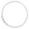 OSRAM LUMILUX T5 FC ringformet lysstofrør 55W 865 dagslys 2GX13