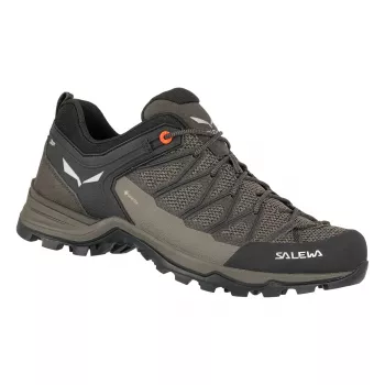 Salewa Mountain Trainer Lite GTX vandresko