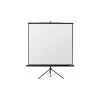 Reflecta Crystal-Line Tripod 240x240 cm Matte White Screen