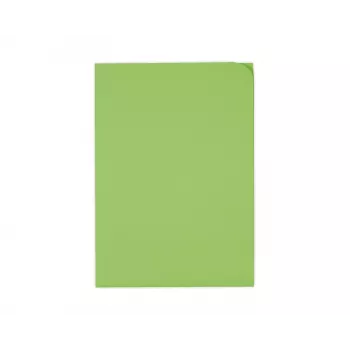ELCO Ordo Discreta organisationsmappe A4, 220 x 310 mm, 120 g/m², intensiv grøn, 100 stk. (29466.62)