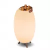 New Garden APOLO 70 Rechargeable Lamp