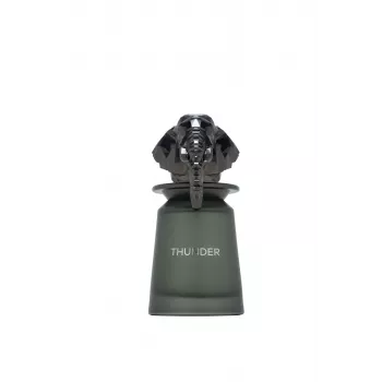FRENCH AVENUE Thunder Eau de Parfum spray 100 ml