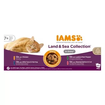 IAMS Delights Senior Land & Sea Collection i sovs 12x85g