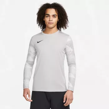 Nike Dry Park IV JSY LS GK Men's Goalkeeper Jersey Grey 2XL