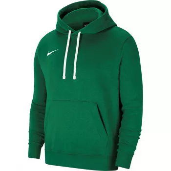 Nike Park 20 Hoodie grøn Spark CW6957 302