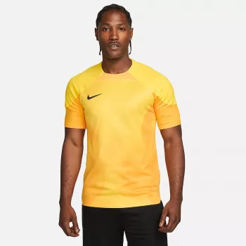 Nike Dri-FIT ADV Gardien IV herre-målmandstrøje Opti Yellow/sort M