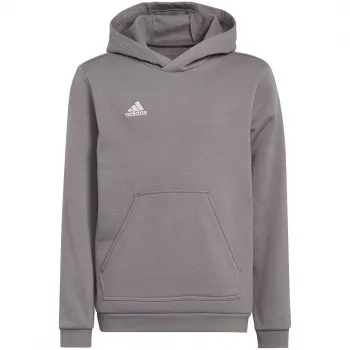 adidas Entrada 22 Hoodie grå ungdom 140 cm