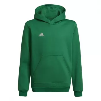 adidas Entrada 22 Hoody børn sweatshirt grøn 116cm
