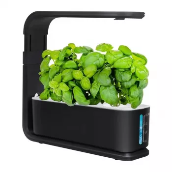 Smart hydroponisk potte ZG1001 sort – 6-pod indendørs have med fuldspektrum-LED, Wi-Fi-app-styring, 2,5L reservoir