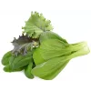 Click & Grow PPMAGX9 Smart Garden plantekapsler 9-pak (blandede sorter, biologisk nedbrydelige, med hætter)