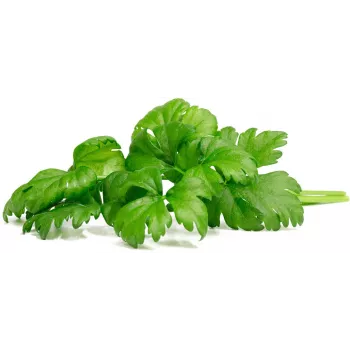 Click & Grow snit selleri plantekapsler til Smart Garden, 3-pak (SGR97X3)