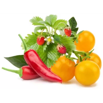 Click & Grow frugt- og grøntsagsmix plantekapsler til Smart Garden, 9-pak (PPMFVX9)