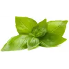 Click & Grow citronbasilikum plantekapsler til Smart Garden, 3-pak (SGR76X3)