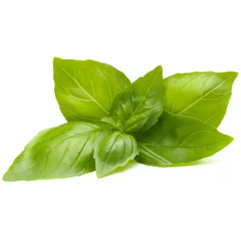 Click & Grow citronbasilikum plantekapsler til Smart Garden, 3-pak (SGR76X3)
