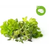 Click & Grow steak-krydderurte-mix plantekapsler til Smart Garden, 9-pak (PPMSSX9)