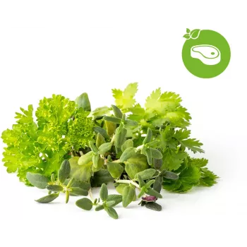 Click & Grow steak-krydderurte-mix plantekapsler til Smart Garden, 9-pak (PPMSSX9)
