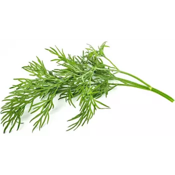 Click & Grow SGR49x3 dild-planterkapsler påfyldningspakke 3-pak