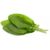 Click & Grow surkløver-planterkapsler til Smart Garden, 3-pak (SGR55X3)