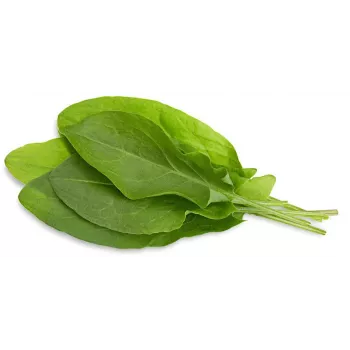 Click & Grow surkløver-planterkapsler til Smart Garden, 3-pak (SGR55X3)