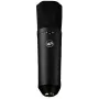 Warm Audio WA-87 R2 BL stormembran-kondensatormikrofon - nikkel