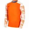 Nike Dry Park IV JSY LS GK junior målmandssweatshirt orange CJ6072 819 XS