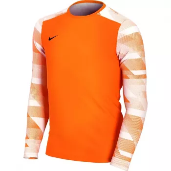 Nike Dry Park IV JSY LS GK Junior Målmandssweatshirt Orange CJ6072 819 S