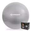 SCHILDKROT gymnastikbold 65 cm sølv anti-burst 960156
