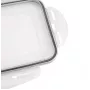 APS isterningeboks med låg, transparent/grå, 2-sæt, polypropylen, tåler opvaskemaskine 36103