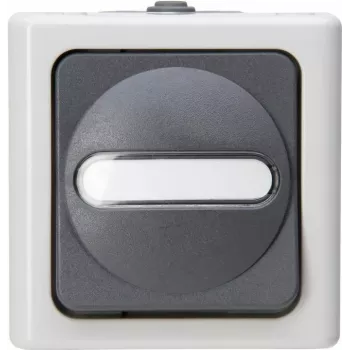 HEINRICH KOPP universalafbryder BLUE ELECTRIC grå overflademonteret fugtigt rum 10A, 250V (560656006)