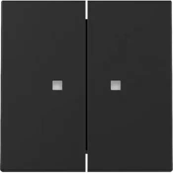 Gira System 55 vippedæksel, 2-fach, til styrefunktion, sort mat 3631005