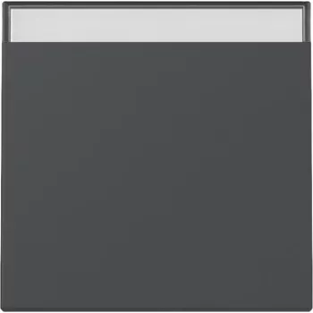 Gira System 55 vippe trykknap antracit mat 329928