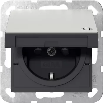 Gira SCHUKO Socket Outlet with Hinged Cover and Shutter, Stainless Steel, 1-Gang, Flush-Mounted, 16 A, 250 V 4414600