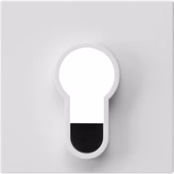 Gira afdækning til nøglekontakt, System 55, ren hvid glans, 55 x 55 mm 866403