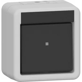 GIRA vippekontakt 310230 fra 2-p WG AP gr (310230)